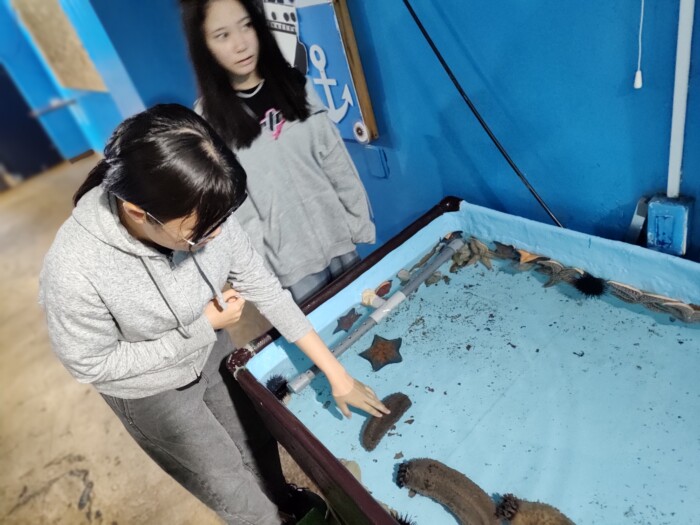 稚内市立ノシャップ寒流水族館