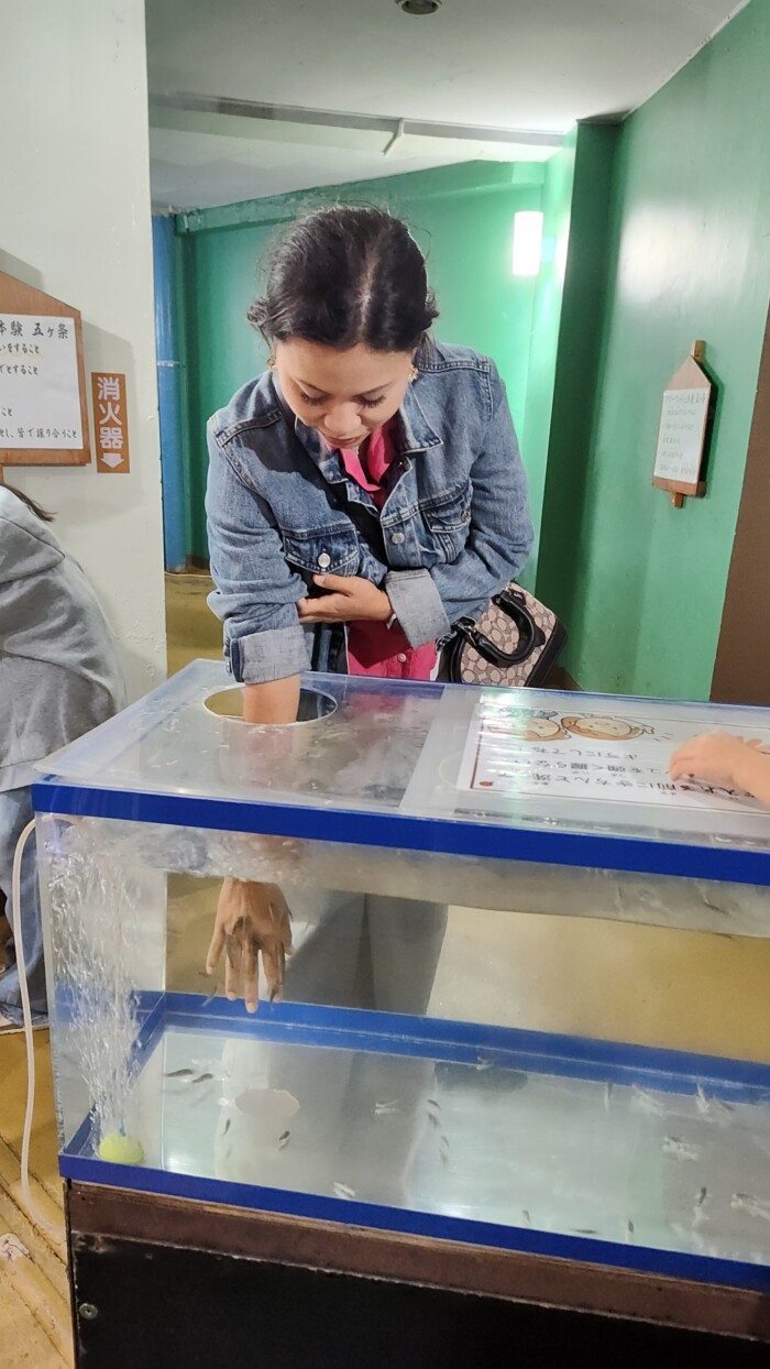 稚内市立ノシャップ寒流水族館