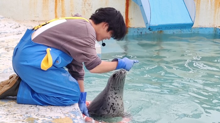 稚内市立ノシャップ寒流水族館