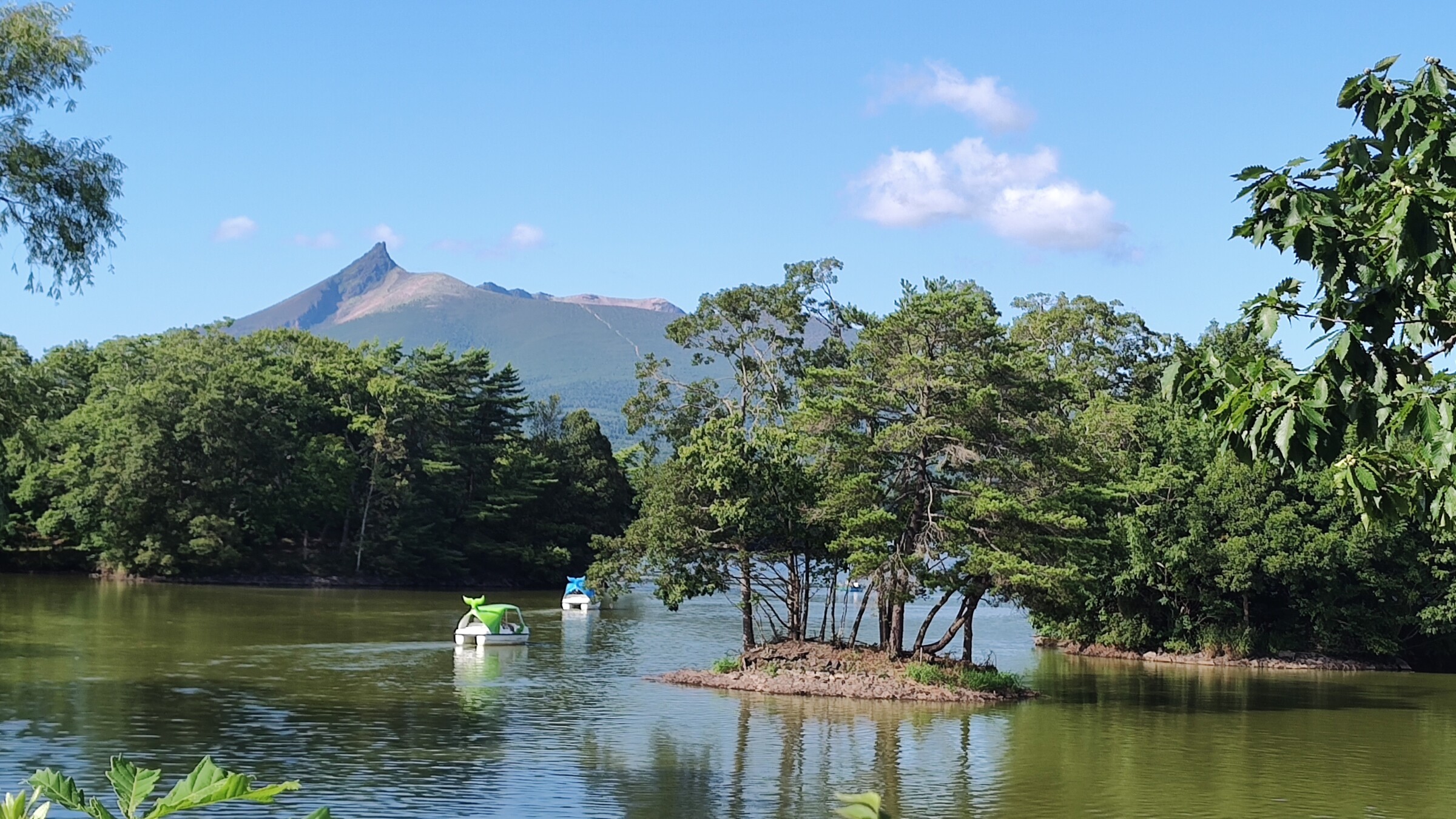 大沼公園